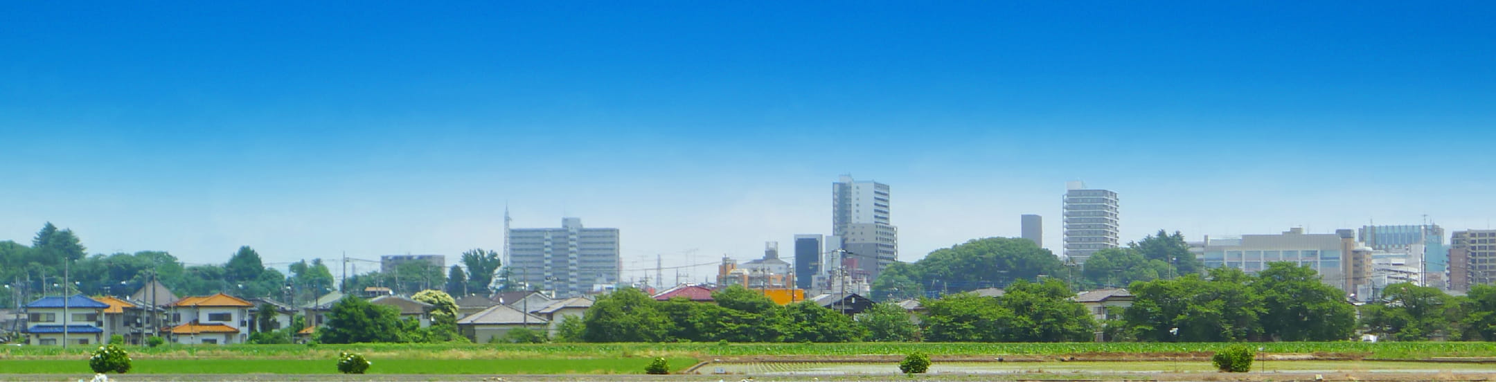 メインビジュアル 背景 緑と都市部の混ざり合う風景